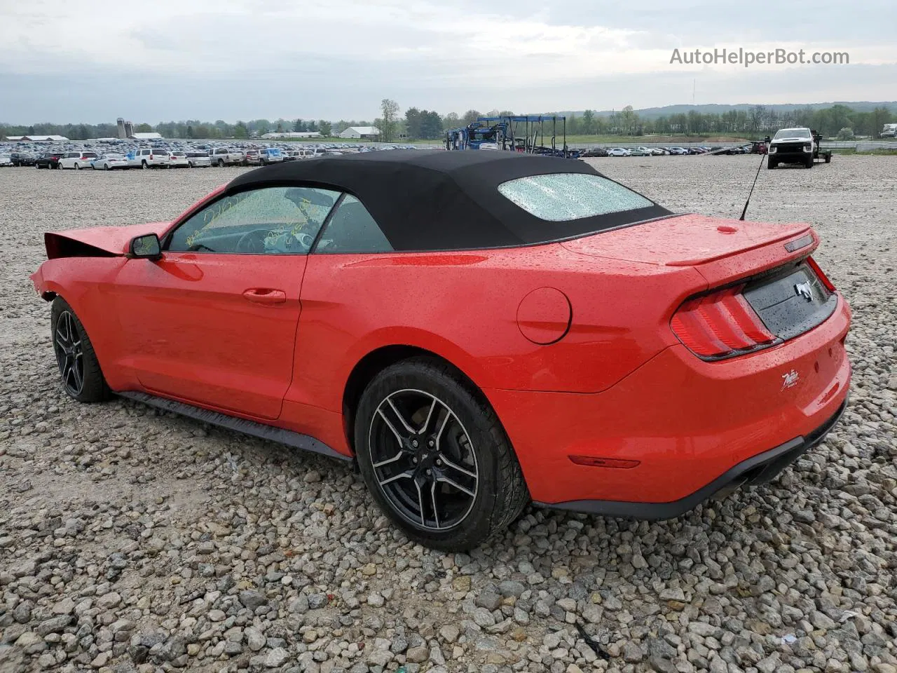 2020 Ford Mustang  Красный vin: 1FATP8UH5L5101460