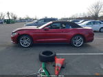 2016 Ford Mustang Ecoboost Premium Red vin: 1FATP8UH6G5288648