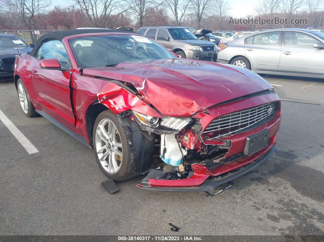 2016 Ford Mustang Ecoboost Premium Red vin: 1FATP8UH6G5288648