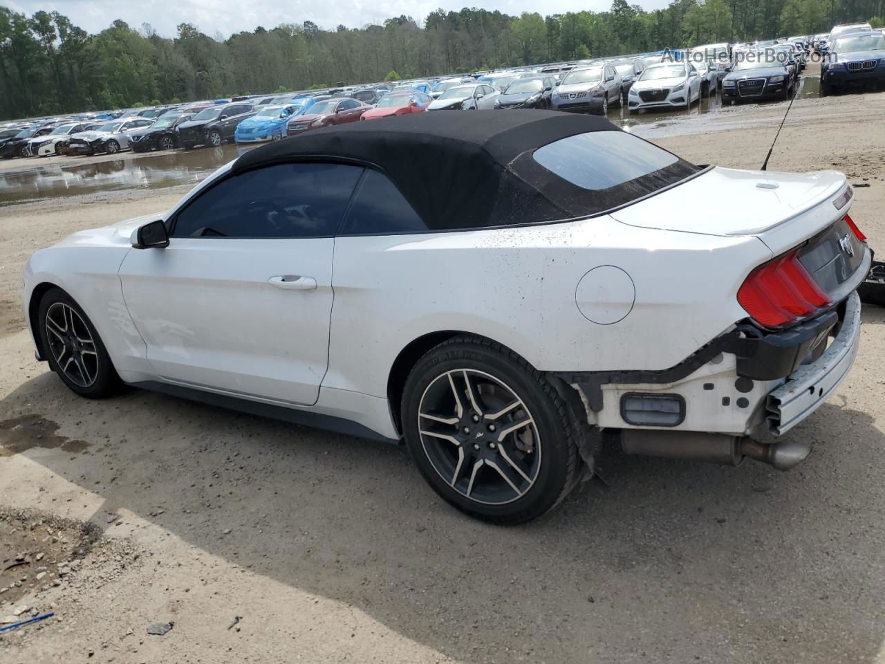 2020 Ford Mustang  White vin: 1FATP8UH6L5125329