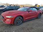 2020 Ford Mustang  Красный vin: 1FATP8UH6L5157472