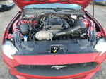 2020 Ford Mustang  Красный vin: 1FATP8UH6L5157472