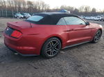 2020 Ford Mustang  Красный vin: 1FATP8UH6L5157472