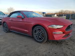 2020 Ford Mustang  Красный vin: 1FATP8UH6L5157472
