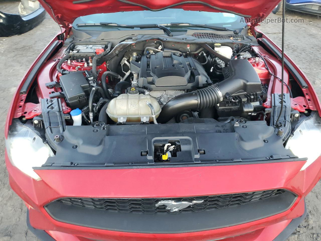 2020 Ford Mustang  Красный vin: 1FATP8UH6L5157472