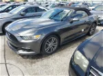 2015 Ford Mustang  Gray vin: 1FATP8UH8F5347598