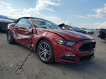 2016 Ford Mustang  Red vin: 1FATP8UH8G5292118