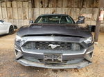 2020 Ford Mustang  Gray vin: 1FATP8UH8L5112632