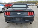 2015 Ford Mustang  Black vin: 1FATP8UH9F5397510