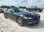 2015 Ford Mustang  Black vin: 1FATP8UH9F5419604