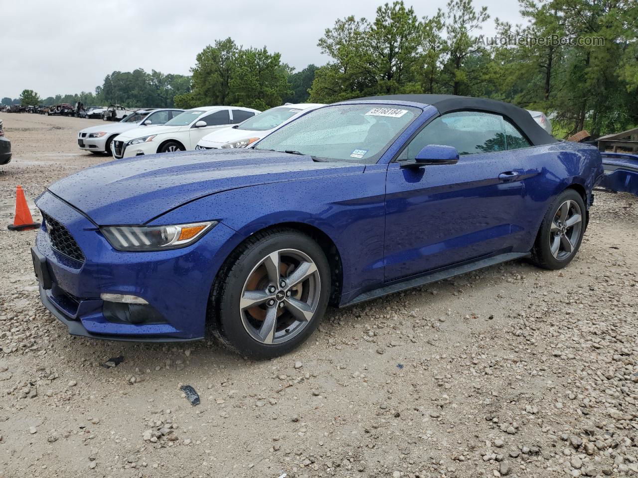 2016 Ford Mustang  Blue vin: 1FATP8UH9G5241999