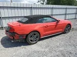 2020 Ford Mustang  Red vin: 1FATP8UH9L5131660