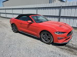 2020 Ford Mustang  Red vin: 1FATP8UH9L5131660