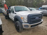 2015 Ford F550 Super Duty Белый vin: 1FD0X5GT1FED58983