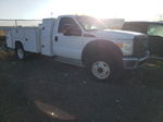 2015 Ford F550 Super Duty White vin: 1FDUF5GY6FEC05550