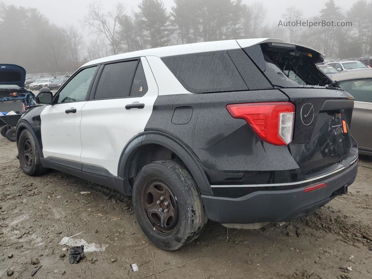 2021 Ford Explorer Police Interceptor Двухцветный vin: 1FM5K8AW4MNA19656