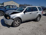 2009 Ford Escape Xls Silver vin: 1FMCU02719KA03434