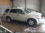 2009 Ford Escape Xls/xls Manual White vin: 1FMCU02759KB22328