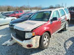 2009 Ford Escape Xls Белый vin: 1FMCU02769KB79654