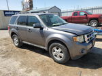 2009 Ford Escape Xls Gray vin: 1FMCU02799KA38190