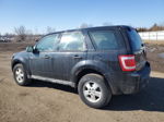 2009 Ford Escape Xls Черный vin: 1FMCU02799KD04923