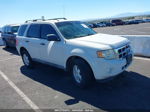 2009 Ford Escape Xlt White vin: 1FMCU03709KA92900