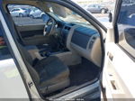 2009 Ford Escape Xlt Белый vin: 1FMCU03709KA92900