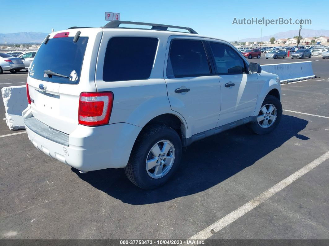 2009 Ford Escape Xlt Белый vin: 1FMCU03709KA92900