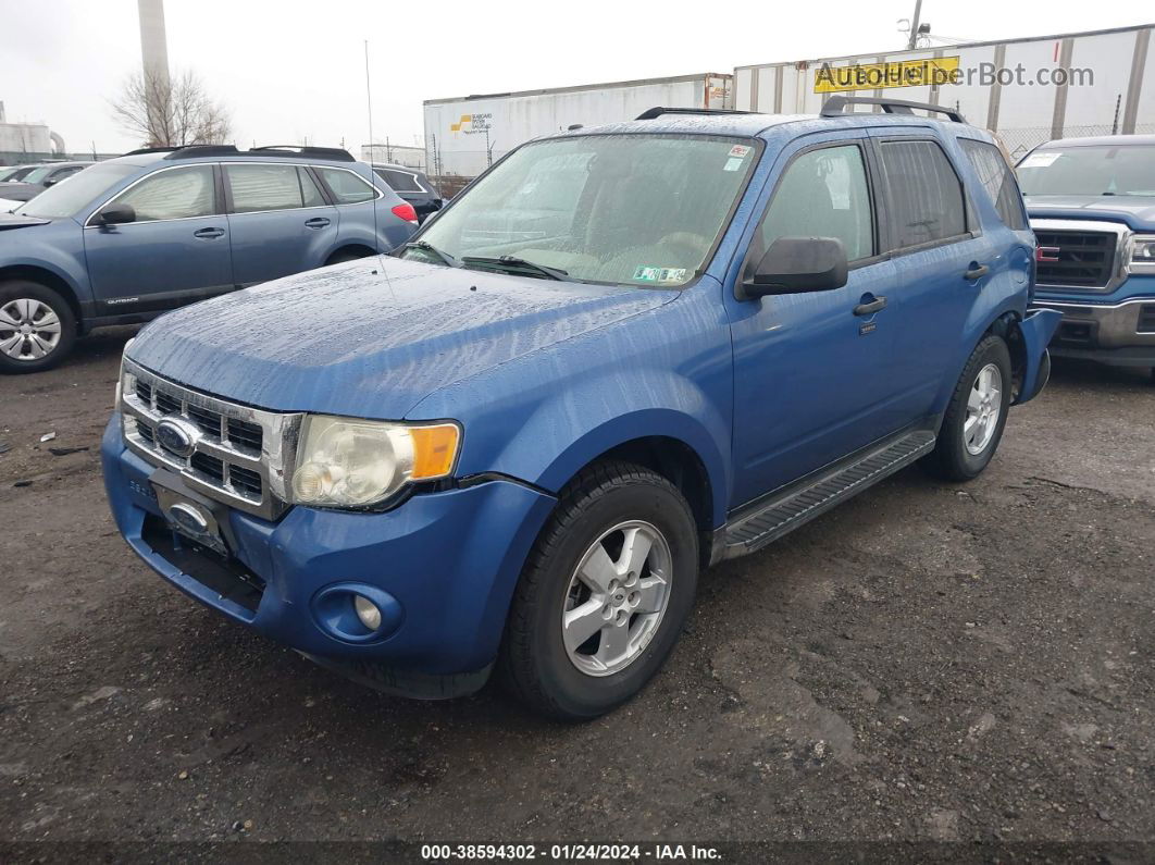 2009 Ford Escape Xlt Синий vin: 1FMCU03709KB00302