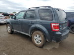 2009 Ford Escape Xlt Gray vin: 1FMCU03709KB79115