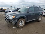 2009 Ford Escape Xlt Gray vin: 1FMCU03709KB79115