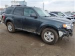 2009 Ford Escape Xlt Gray vin: 1FMCU03709KB79115