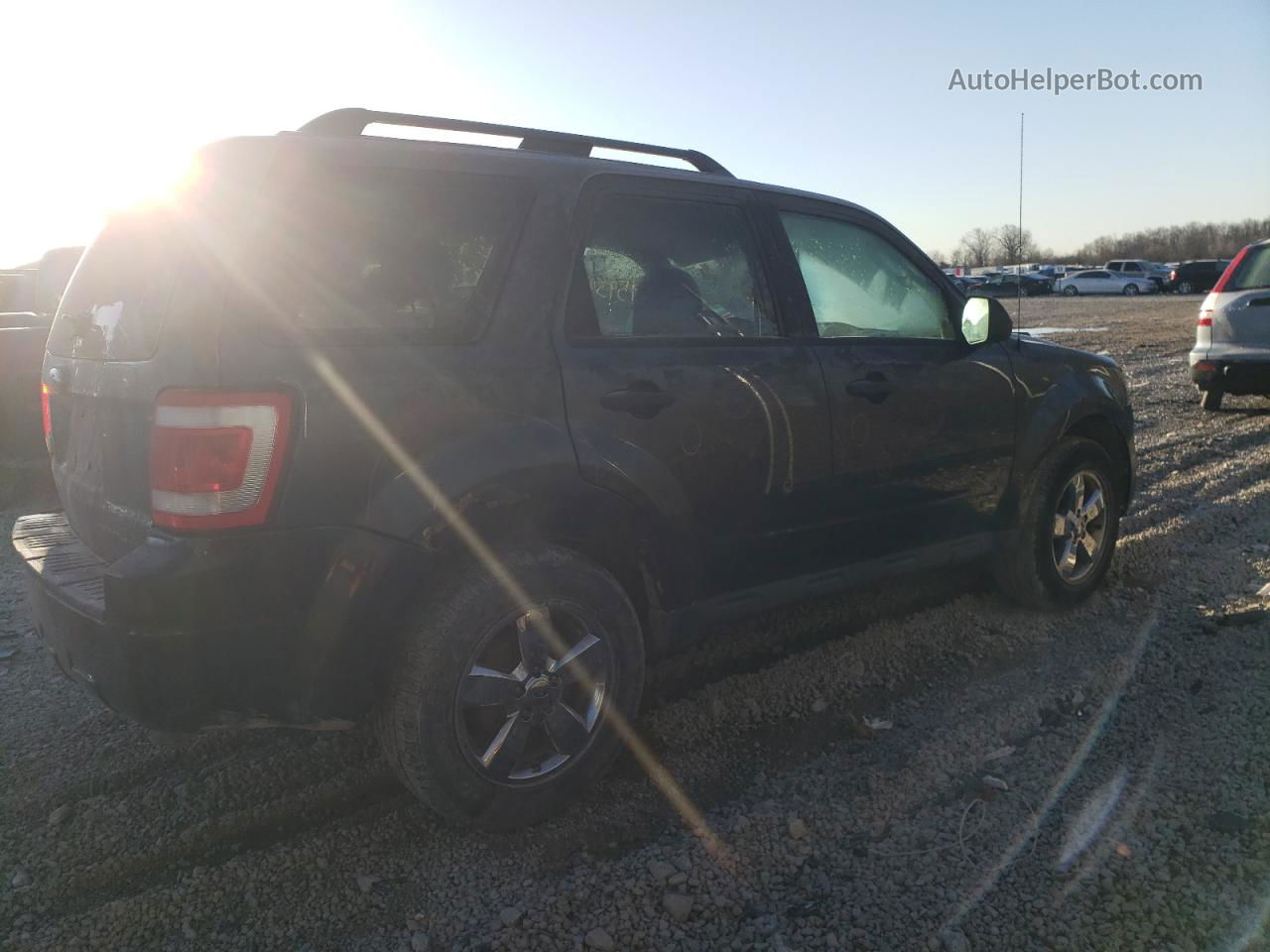 2009 Ford Escape Xlt Серый vin: 1FMCU03709KC86066