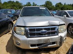 2009 Ford Escape Xlt Silver vin: 1FMCU03709KD06641