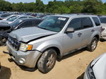 2009 Ford Escape Xlt Silver vin: 1FMCU03709KD06641