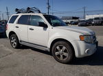 2009 Ford Escape Xlt White vin: 1FMCU03719KB54952