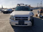 2009 Ford Escape Xlt White vin: 1FMCU03719KB54952