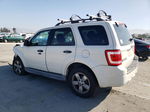 2009 Ford Escape Xlt White vin: 1FMCU03719KB54952