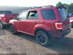 2009 Ford Escape Xlt Red vin: 1FMCU03719KB63652