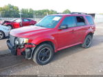 2009 Ford Escape Xlt Red vin: 1FMCU03719KB63652