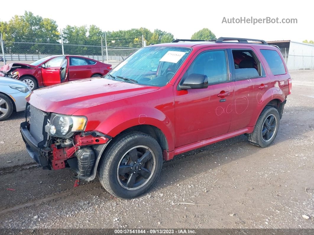 2009 Ford Escape Xlt Red vin: 1FMCU03719KB63652