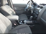 2009 Ford Escape Xlt Red vin: 1FMCU03719KB63652