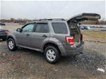 2009 Ford Escape Xlt Gray vin: 1FMCU03719KB64185