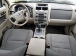 2009 Ford Escape Xlt Gray vin: 1FMCU03719KB64185