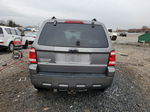 2009 Ford Escape Xlt Gray vin: 1FMCU03719KB64185