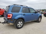 2009 Ford Escape Xlt Синий vin: 1FMCU03719KC85346