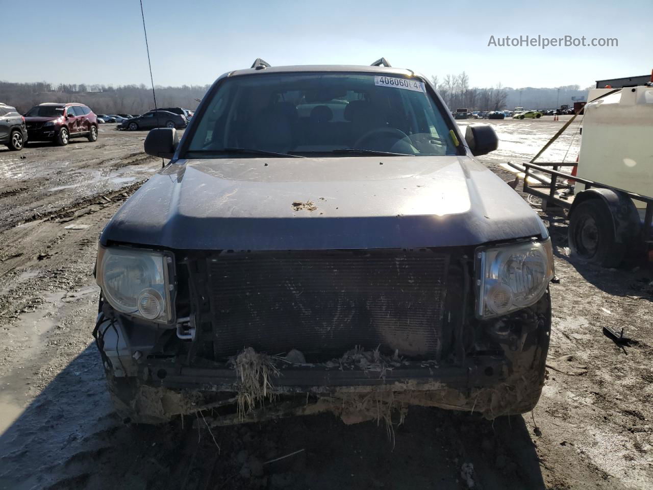 2009 Ford Escape Xlt Серый vin: 1FMCU03719KC85363