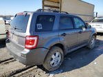 2009 Ford Escape Xlt Gray vin: 1FMCU03719KC85363