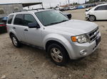 2009 Ford Escape Xlt Silver vin: 1FMCU03729KA12030