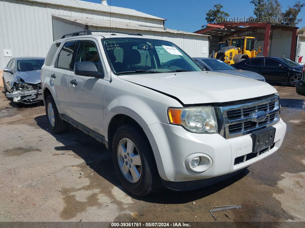 2009 Ford Escape Xlt Белый vin: 1FMCU03729KA60062